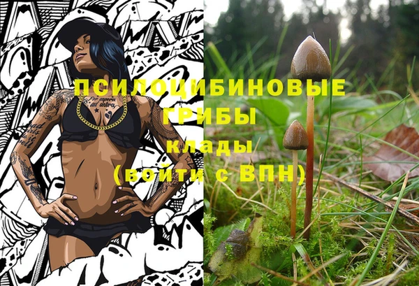 метамфетамин Верея